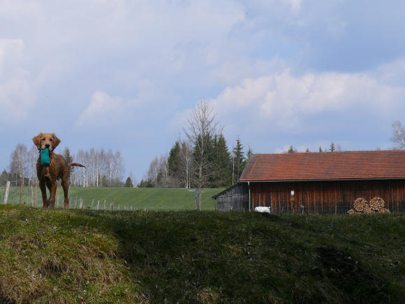 Am Soiener See (12)