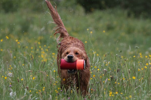 Athos in Bewegung (2)