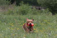 Athos in Bewegung (1)